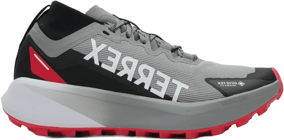 Adidas Terrex Agravic GTX hardloopschoen voor dames – Grijs