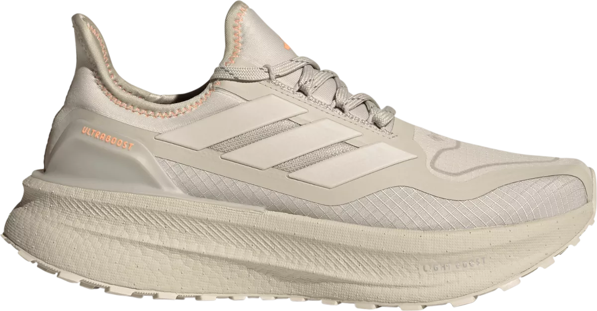 Adidas ULTRABOOST 5 GTX hardloopschoen voor dames – Grijs