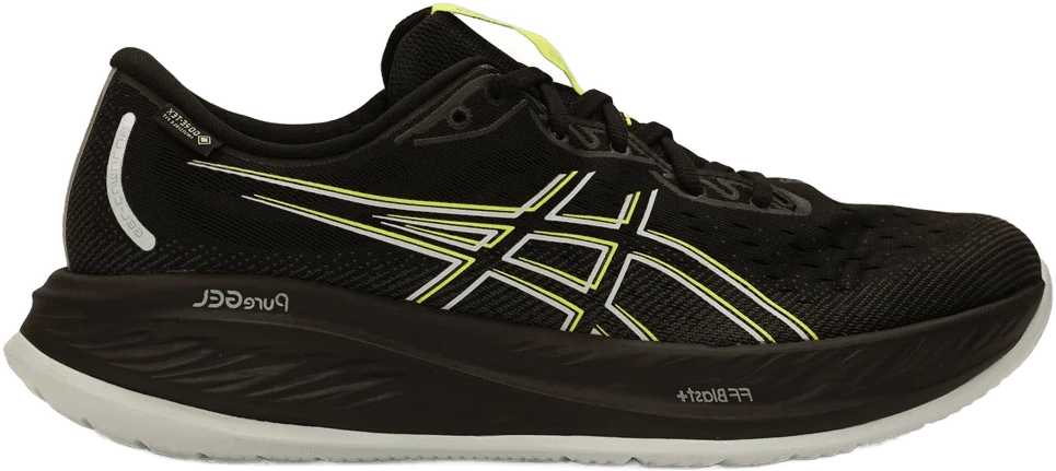 ASICS Gel Cumulus 26 GTX hardloopschoen voor heren – Zwart