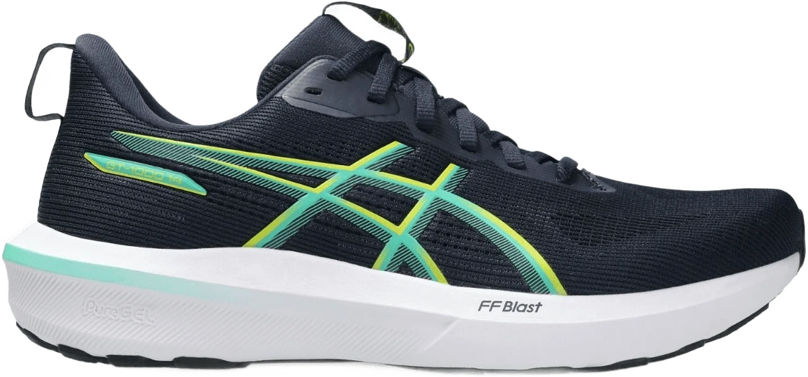 ASICS GT-1000 14 hardloopschoen voor heren – Blauw