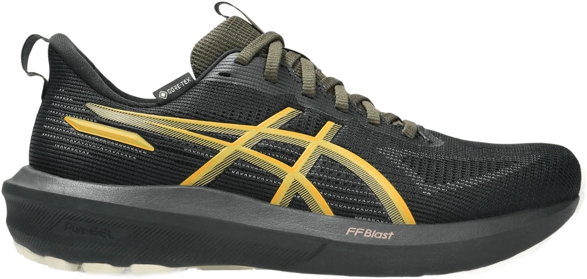 ASICS GT-1000 14 GTX hardloopschoen voor dames – Zwart