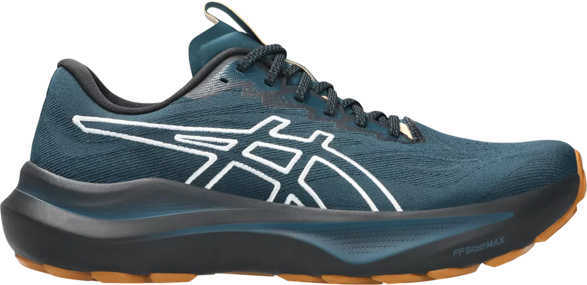 ASICS GT-2000 14 TR hardloopschoen voor heren – Blauw