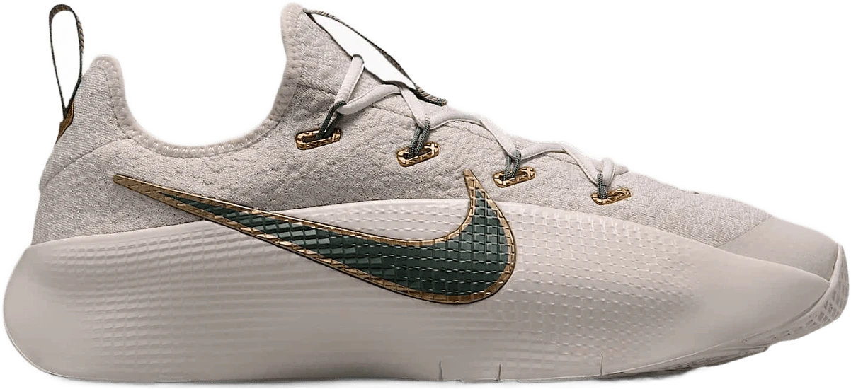 Nike LeBron TR 1 hardloopschoen voor heren – Grijs