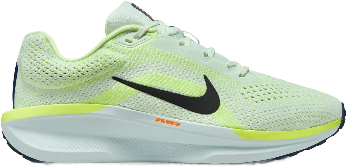 Nike Winflo 11 hardloopschoen voor dames – Multi
