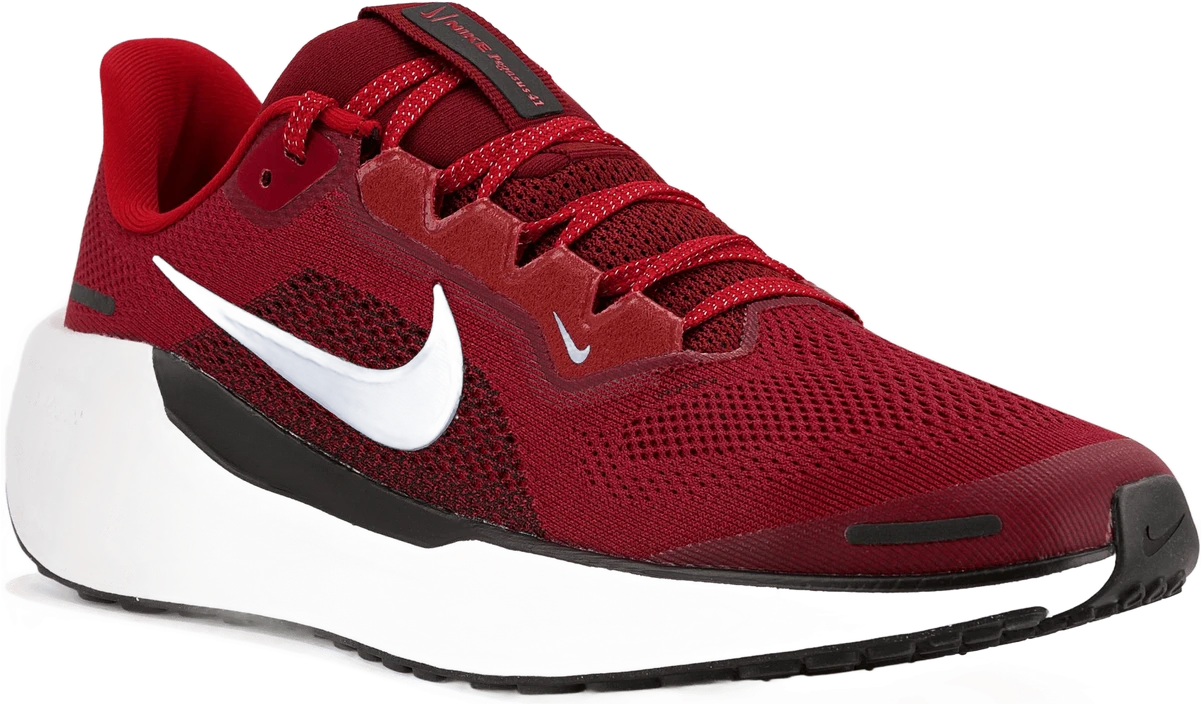 Nike Pegasus 41 hardloopschoen voor kinderen – Rood