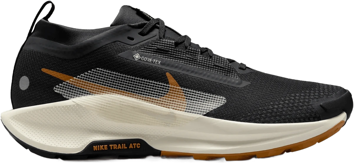 Nike Pegasus 5 GTX hardloopschoen voor heren – Zwart