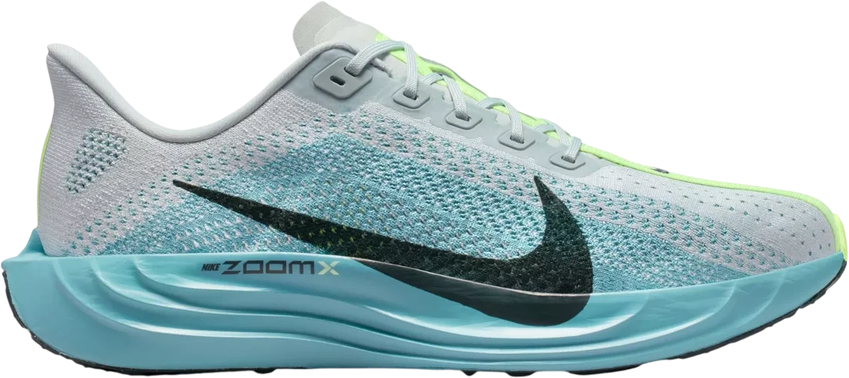 Nike Pegasus Plus hardloopschoen voor heren – Grijs