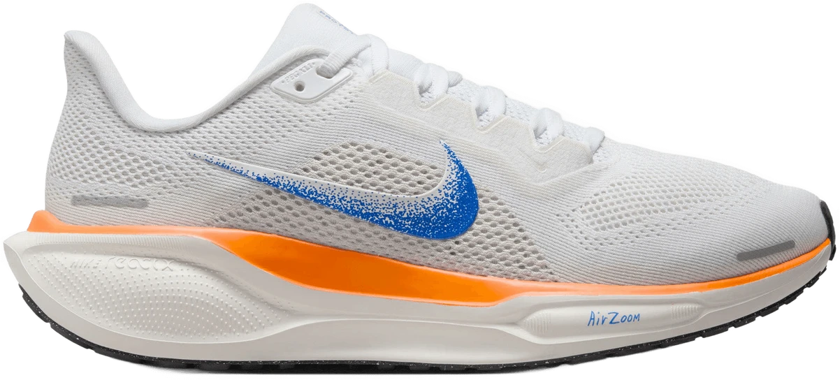 Nike Pegasus 41 Blueprint hardloopschoen voor dames – Multi