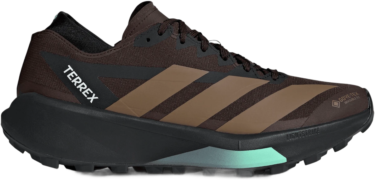 Adidas Terrex Agravic GTX 2 hardloopschoen voor heren – Bruin