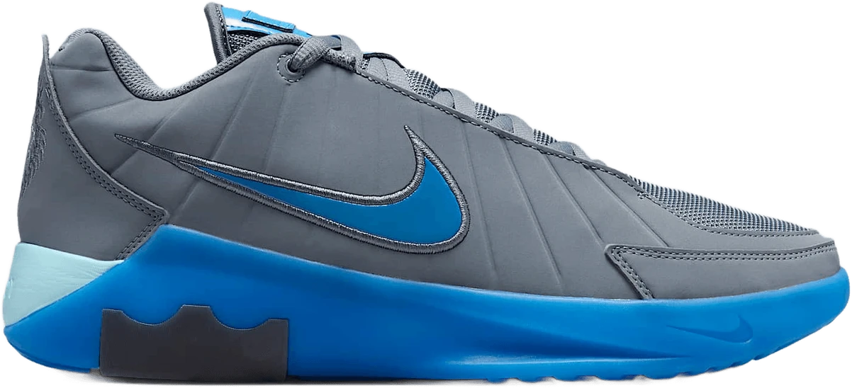 Nike LeBron Witness 9 hardloopschoen voor heren – Grijs