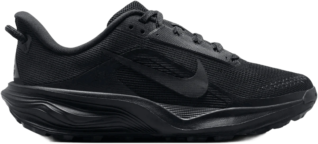 Nike Kind Pegasus hardloopschoen voor heren – Multi