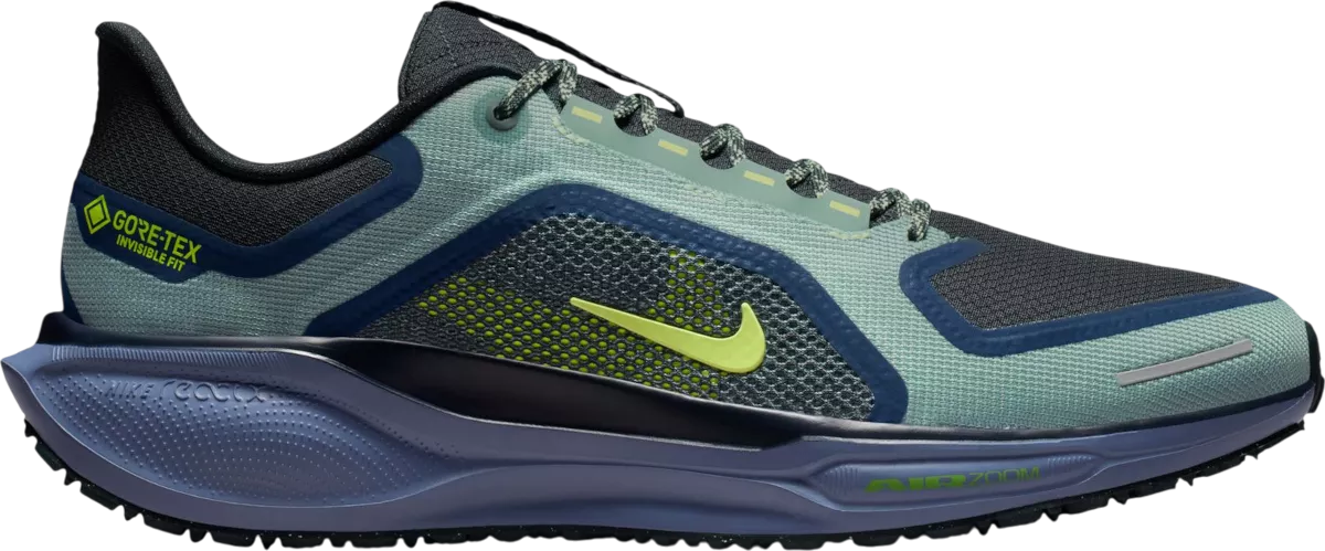 Nike Pegasus 41 GORE-TEX hardloopschoen voor heren – Blauw