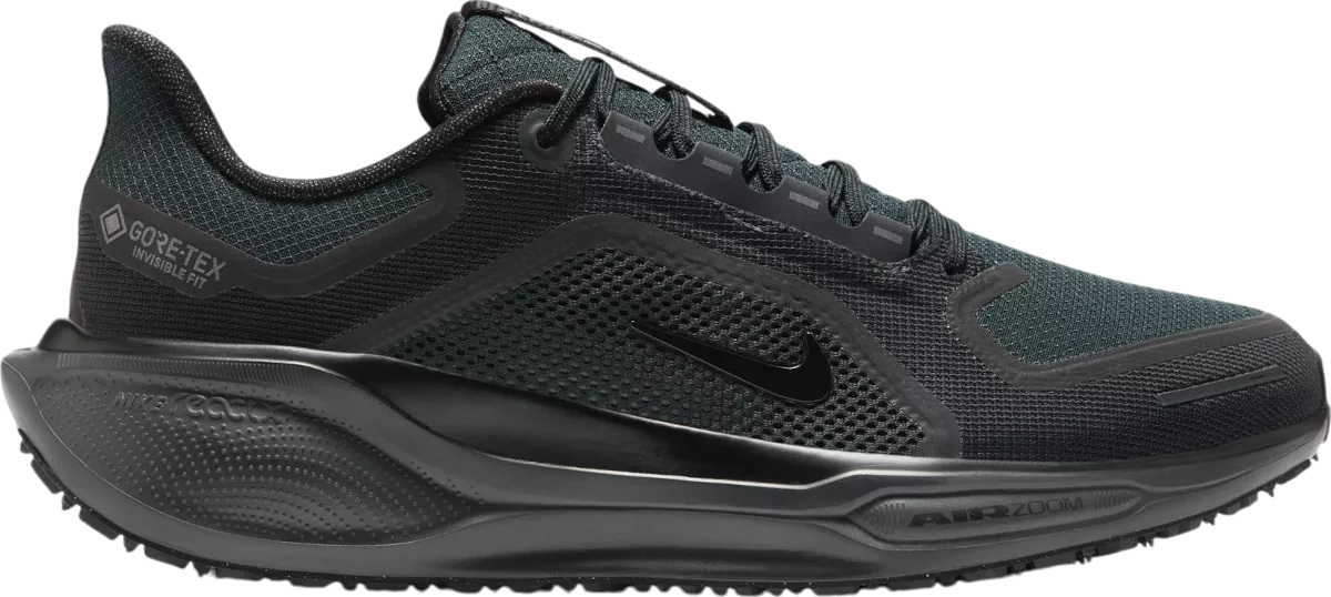 Nike Pegasus 41 GORE-TEX hardloopschoen voor heren – Zwart