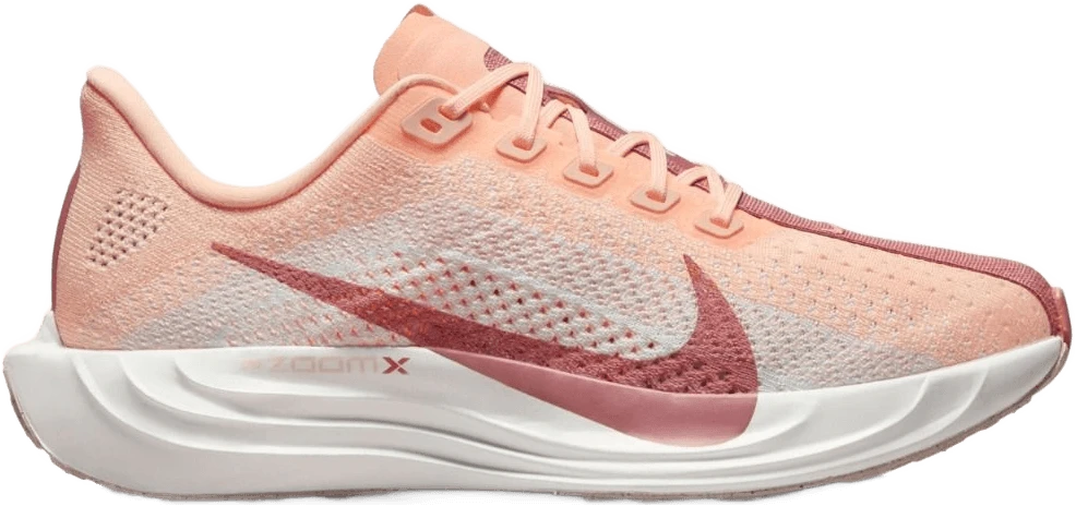 Nike Pegasus Plus hardloopschoen voor dames – Paars