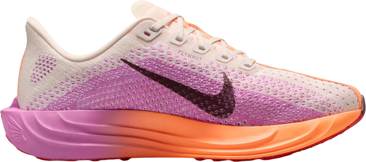 Nike Pegasus Plus hardloopschoen voor dames – Multi