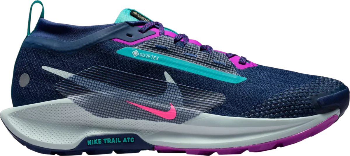 Nike Pegasus Trail 5 GORE-TEX hardloopschoen voor heren – Blauw