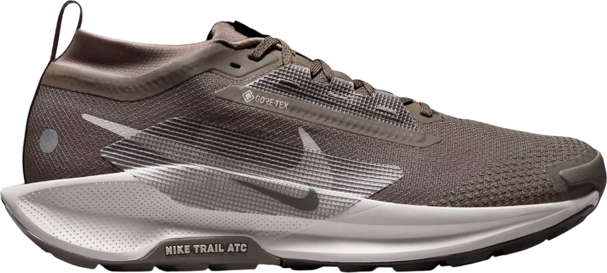 Nike Pegasus Trail 5 GORE-TEX hardloopschoen voor heren – Bruin