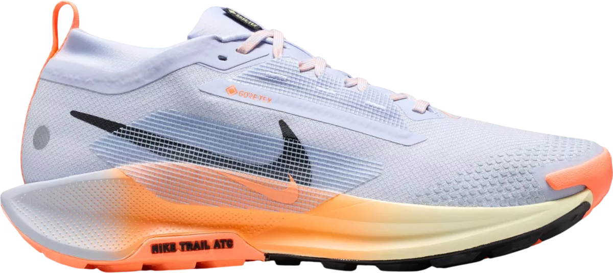 Nike Pegasus Trail 5 GORE-TEX hardloopschoen voor heren – Grijs