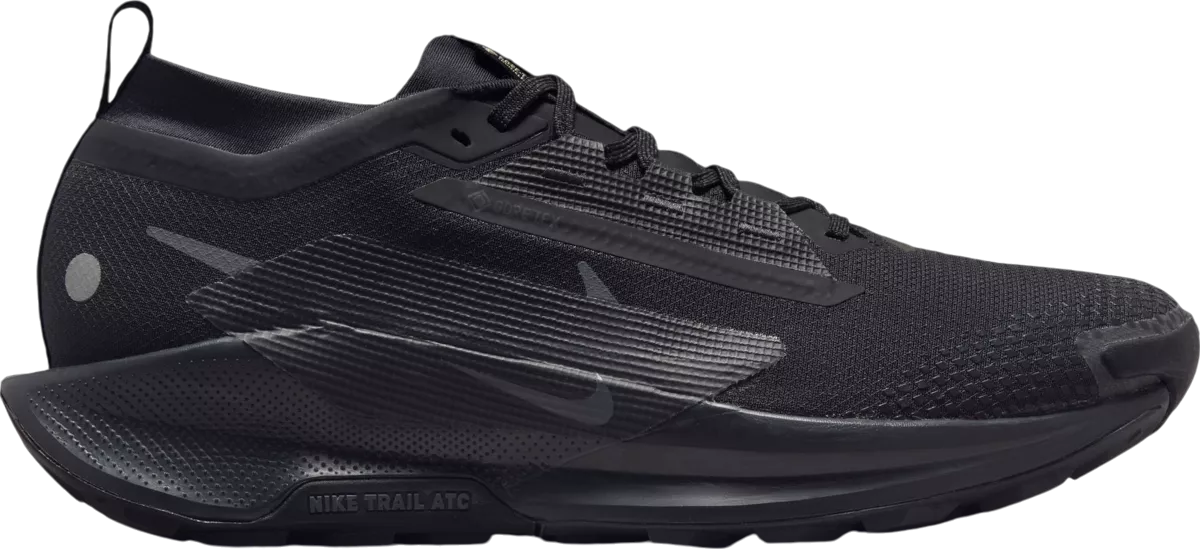 Nike Pegasus Trail 5 GORE-TEX hardloopschoen voor heren – Zwart