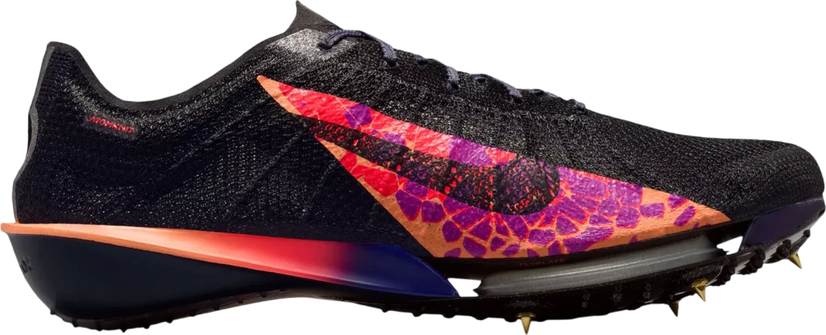 Nike Victory 2 hardloopschoen voor heren – Multi