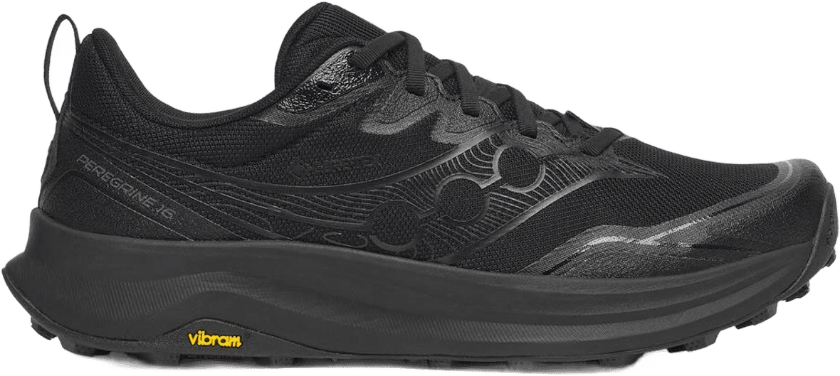 Saucony PEREGRINE 16 GTX hardloopschoen voor heren – Zwart